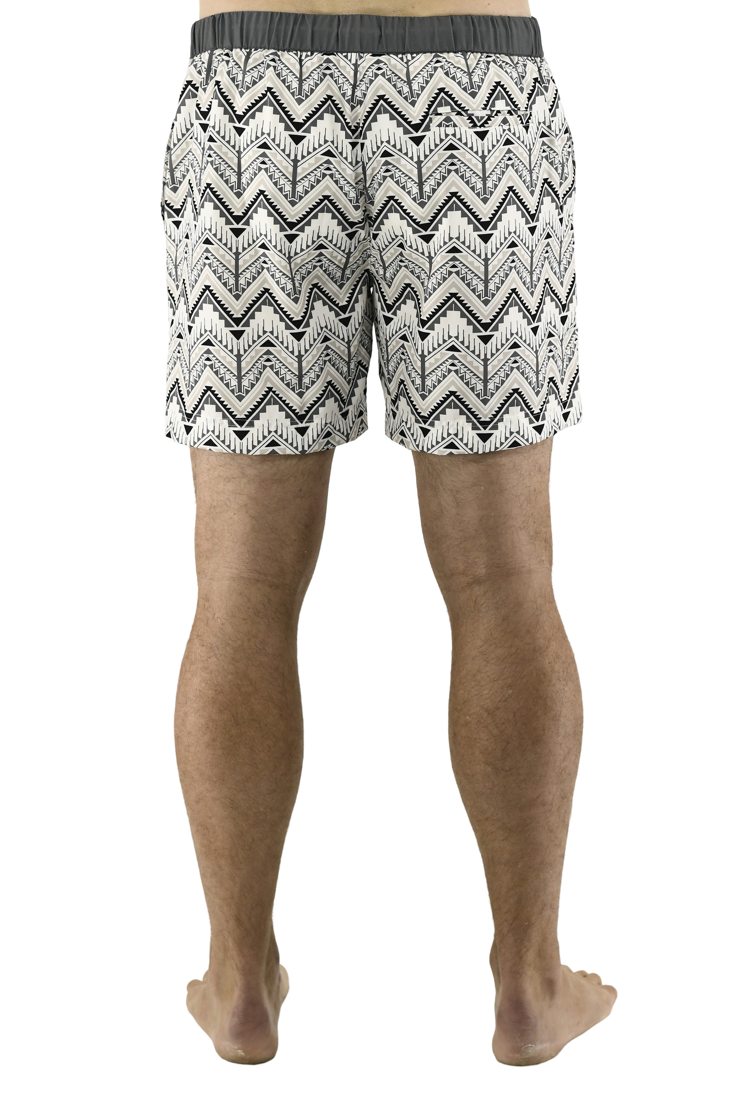 Menswear Swim Shorts Model 1 ZG5709